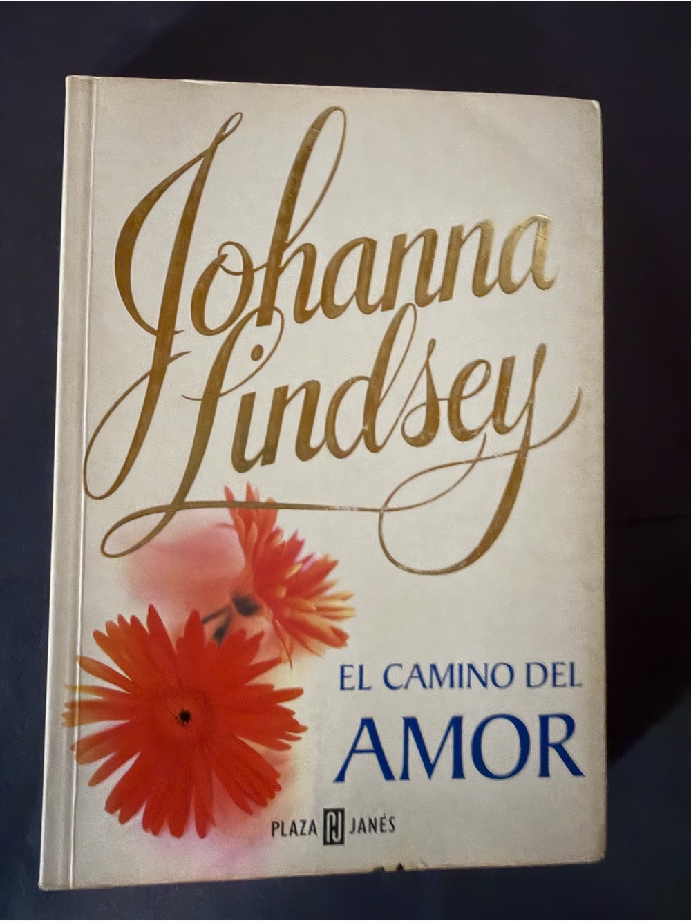 Johanna Lindsey - El Camino Del Amor